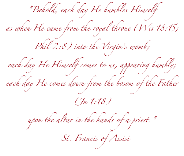 Behold Each Day St Francis